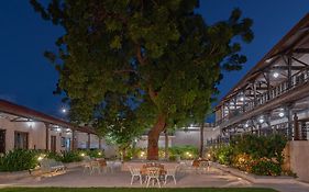 Tree Of Life Darbargadh Dared